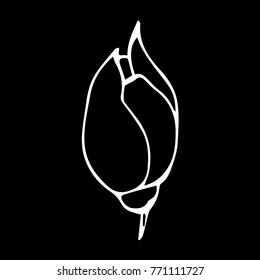 Flower peony vector illustration. Doodle style. Design, print, decor, textile, paper