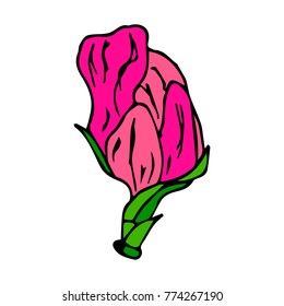 Flower peony vector illustration. Doodle style. Design, print, decor, textile, paper