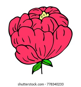 Flower peony vector illustration. Doodle style. Design, print, decor, textile, paper