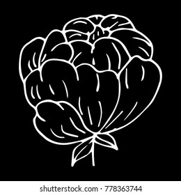 Flower peony vector illustration. Doodle style. Design, print, decor, textile, paper