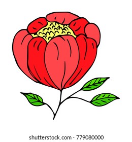 Flower peony vector illustration. Doodle style. Design, print, decor, textile, paper