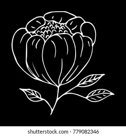 Flower peony vector illustration. Doodle style. Design, print, decor, textile, paper