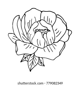 Flower peony vector illustration. Doodle style. Design, print, decor, textile, paper