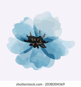 flower perennial flax watercolor vector