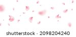 Flower petal flying background. Sakura spring blossom on long banner. Pink rose composition. Beauty Spa product frame. Valentine romantic card. Light delicate pastel design. Vector illustration.