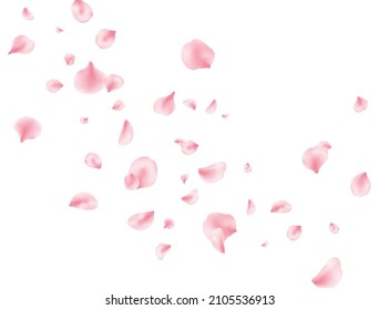 Flower Petal Flying Background. Sakura Spring Blossom. Pink Rose Composition. Beauty Spa Product Frame. Valentine Romantic Card. Light Delicate Pastel Design. Vector Illustration.