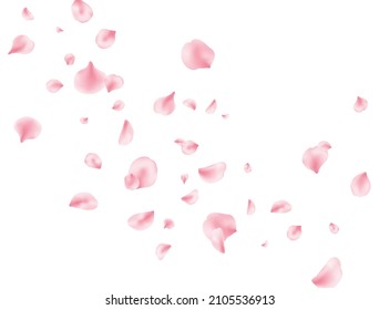 Flower petal flying background. Sakura spring blossom. Pink rose composition. Beauty Spa product frame. Valentine romantic card. Light delicate pastel design. Vector illustration.