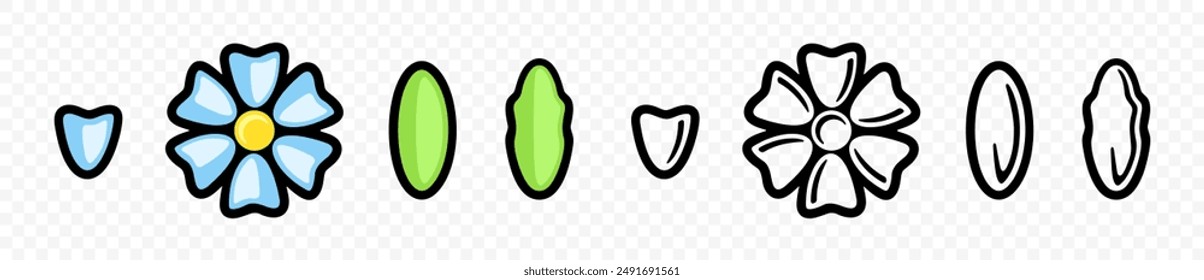 Flower, petal, leaf and leaves, graphic design. Floral, plant, nature, flowering, blooming and bloom, vector design and illustration