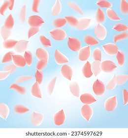 Flower Petals Background. Pink Falling Roses. Flying Sakura Petals. Spring Blowing Wind with Cherry Blossoms. Wedding and Anniversary Card. 8 March Poster.