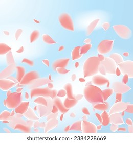 Flower Petals Background. Pink Falling Roses. Flying Sakura Petals. Spring Blowing Wind with Cherry Blossoms. Wedding and Anniversary Card. 8 March Poster.
