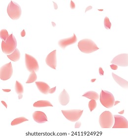 Flower Petals Background. Pink Falling Roses. Wedding and Anniversary Card. Spring Blowing Wind with Cherry Blossoms. Flying Sakura Petals. Vector Festive Bokeh Banner. 8 March Poster. Abstract Frame.