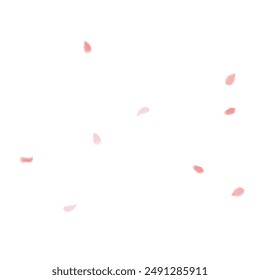 Flower Petals Background. Pink Falling Roses. Flying Sakura Petals. Spring Blowing Wind with Cherry Blossoms. Wedding and Anniversary Card. 8 March Poster.