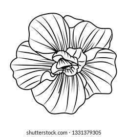 flower petals drawing