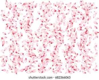 Flower petals flying down vector background. Spring blossom elements falling, isolated on white. Windy confetti summer pattern in pink, rose color. Flying petals, tree blossom elements.