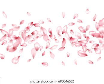 Flower petals flying vector background. Spring blossom isolated elements on white. Blossom petals, flower parts confetti windy pattern.