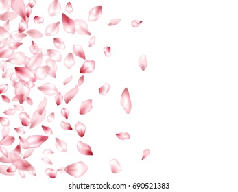 Flower petals flying vector horizontal banner background. Spring blossom petals isolated elements on white. Bloom parts confetti windy pattern.