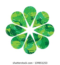 flower petals in green leaves vector illustration