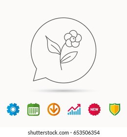 Flower with petals icon. Plant with leaves sign. Floral decoration symbol. Calendar, Graph chart and Cogwheel signs. Download and Shield web icons. Vector