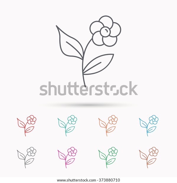 Flower Petals Icon Plant Leaves Sign Stock Vector Royalty Free