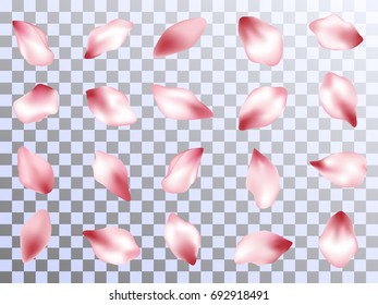 Flower petals isolated on transparent background vector set. Spring pink blossom petals. Bloom parts confetti elements collection, flower parts.