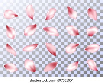 Flower petals isolated on transparent background vector set. Spring pink blossom petals set. Bloom flower parts confetti elements collection.
