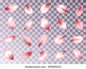 Flower petals isolated on transparent background vector set. Spring pink blossom petals. Bloom parts confetti elements collection, flower parts on transparency grid.