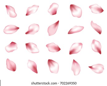 Set Pink Rose Petals Watercolor Botanical Stock Illustration 539048242 ...