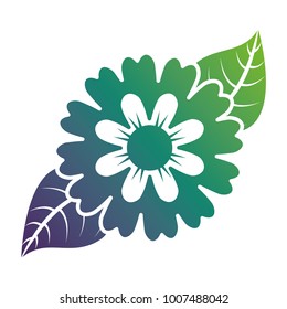 flower petals leaves nature decoration
