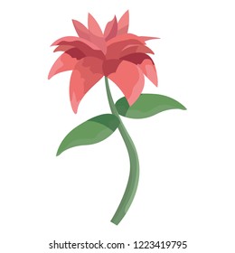 flower petals leaves on white background