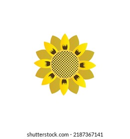 flower petals logo design vector 