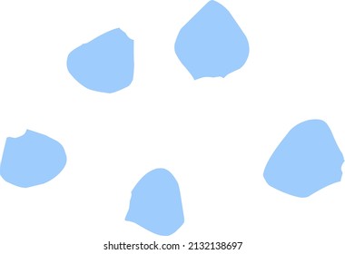 flower petals on a white background