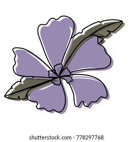 flower with  petals purple vector illustration