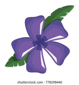  flower with petals  purple   vector illustration