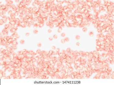 Flower petals realistic isolated on white background. Vector frame of pink sakura petals. Border with space for text. vector illustration 
