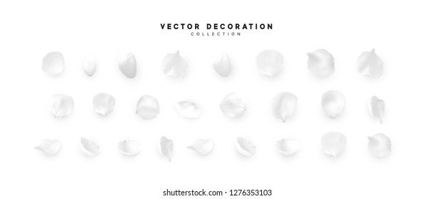 Flower petals realistic light colors, isolated on white background. Leaf floral,