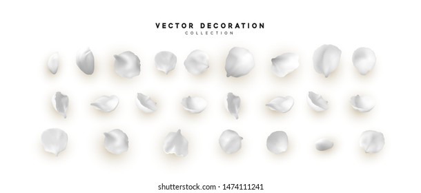 Flower petals realistic set isolated on white background. Vector petals