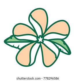 flower with petals salmon  vector illustration