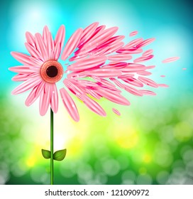 Flower petals scattered on wind. Eps 10