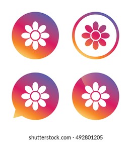 Flower with petals sign icon. Blossom symbol. Gradient buttons with flat icon. Speech bubble sign. Vector