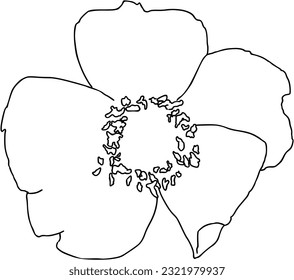 Blume mit Blütenblättern und Blüten Pflanzennaturdoodle lineare Cartoon-Färbung
