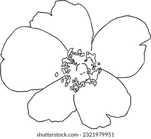 Blume mit Blütenblättern und Blüten Pflanzennaturdoodle lineare Cartoon-Färbung
