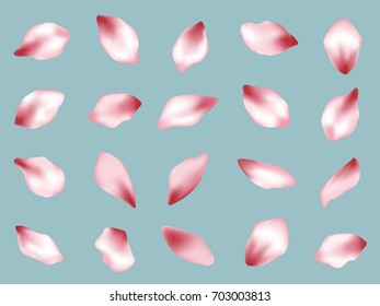 Flower petals vector set isolated on blue background vector. Spring pink blossom petals. Bloom parts confetti elements collection, flower parts isolated set.