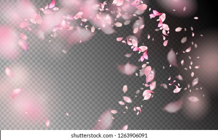 Flower Petals in the Wind. Flying petals on a transparent background