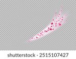 Flower petals wind swirl. Sakura decoration on transparent background. Stock vector illustration in realistic style.