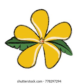 flower with petals yellow  vector illustration