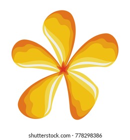  flower  with  petals yellow  vector illustration