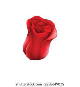 A flower photo of an artificial red rose vector