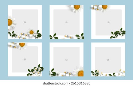  Flower photo grid, framed banner design