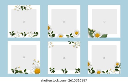  Flower photo grid, framed banner design