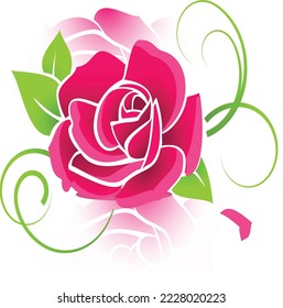 flower pic for flower lovers
